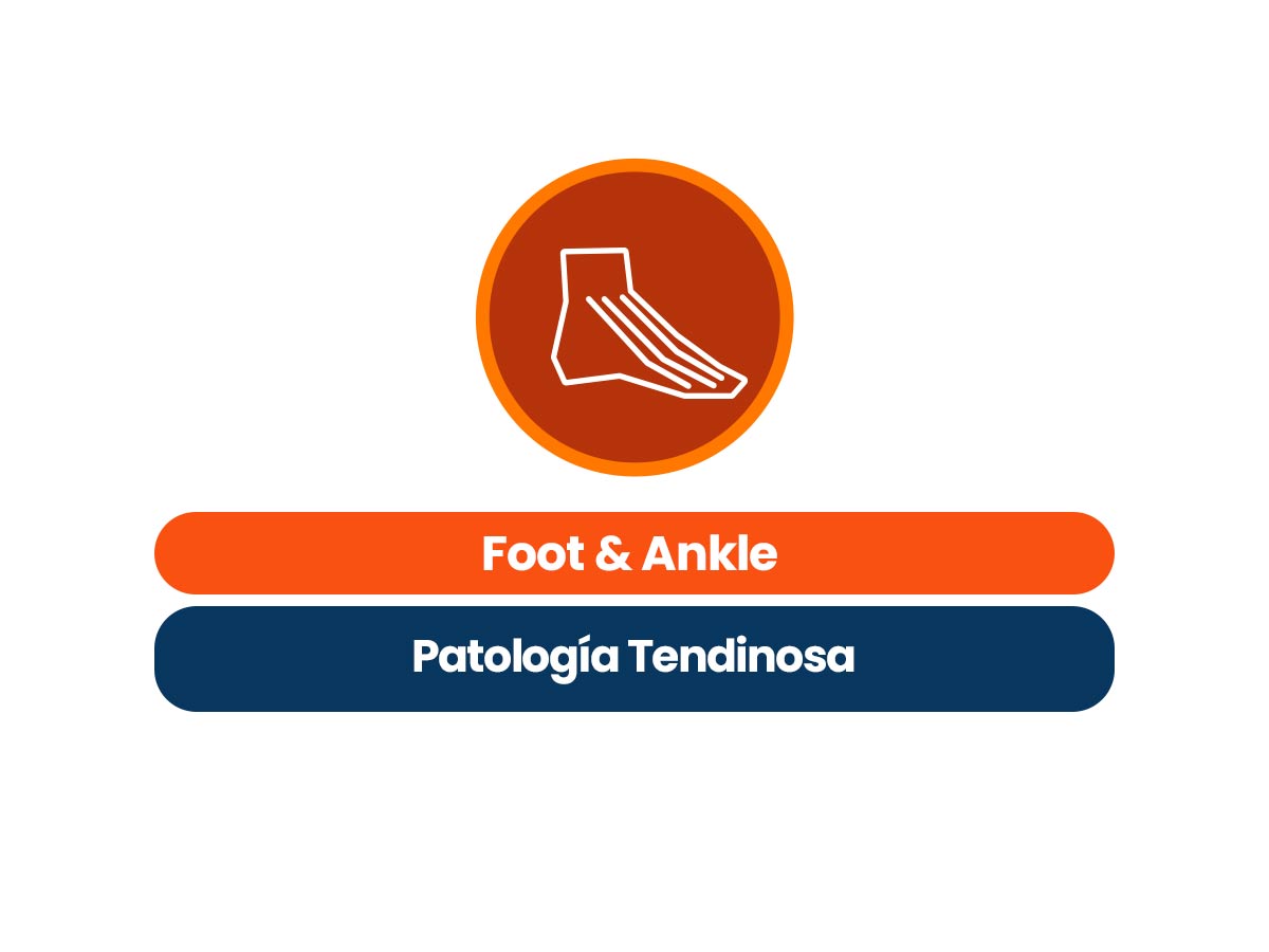 Foot & Ankle Patología Tendinosa